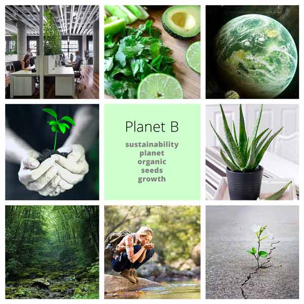 Planet B Mood Board - Sustainability