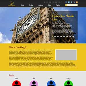 Travel Buzz Website Design Mockup